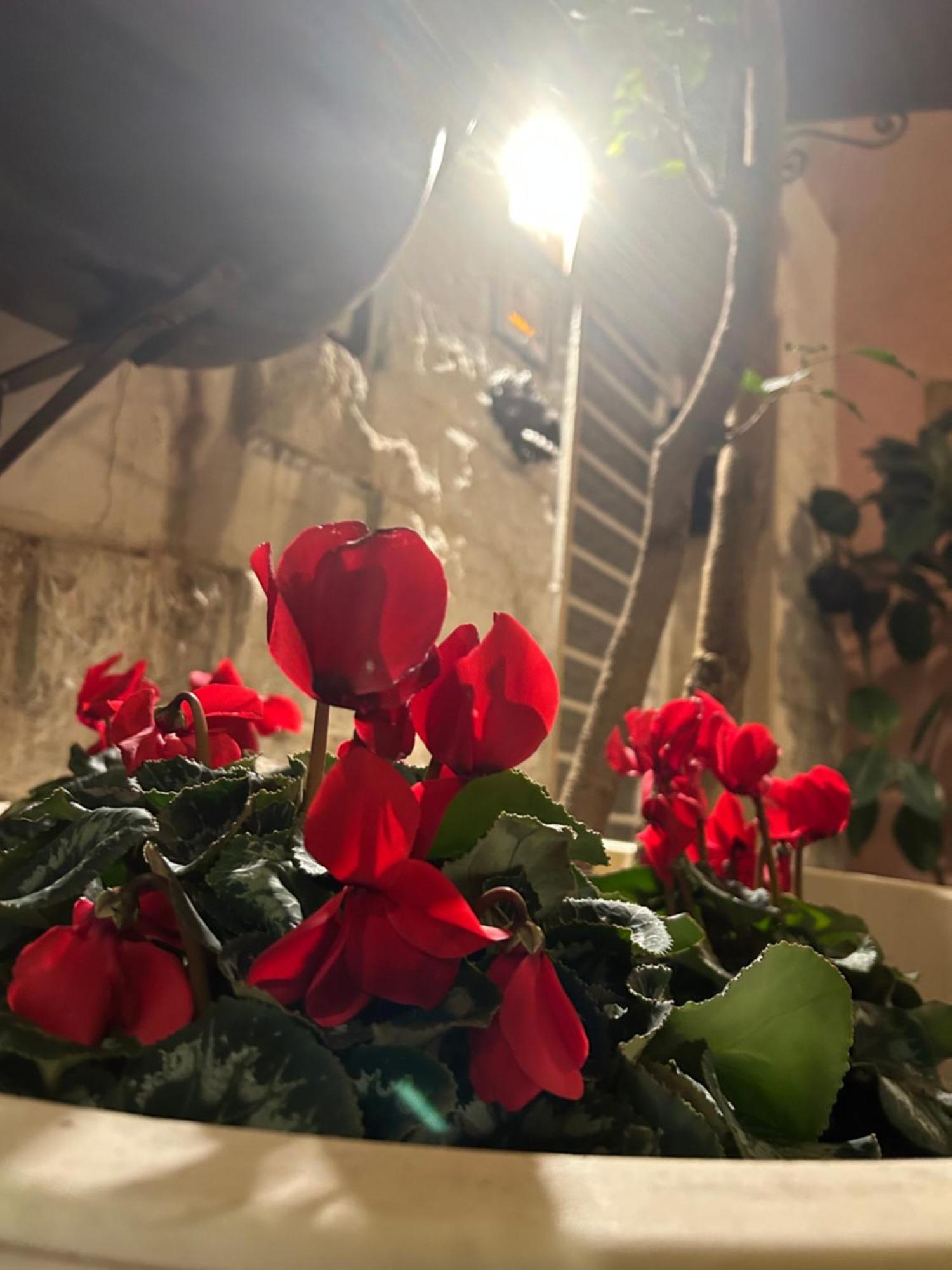 B&B Bari Vecchia R Eksteriør billede